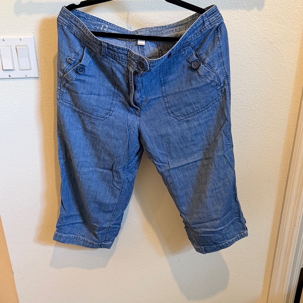 Anne Taylor Loft Casual Blue Denim Capris
